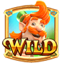 Wild Wild
